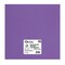 PA Paper Accents Heavyweight Smooth Cardstock 12" x 12" Purple Heart, 100lb colored cardstock paper for card making, scrapbooking, printing, quilling and crafts, 25 piece pack